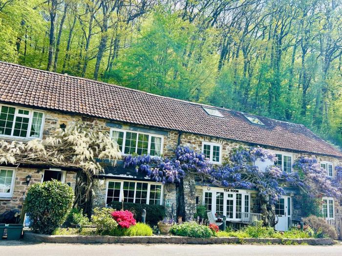 Devon 6-Bed Cottage with Country Views & Parking