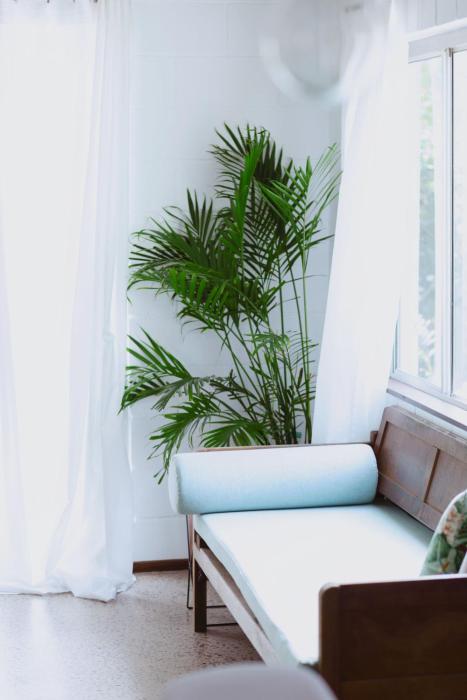 Newly renovated 1970s house Dog and kid friendly