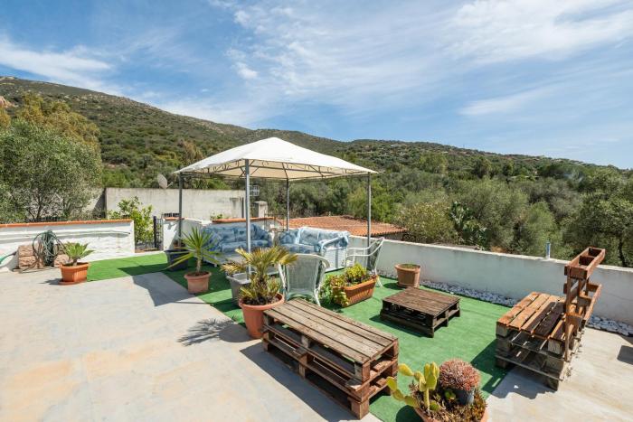 Jungle Room Apartment