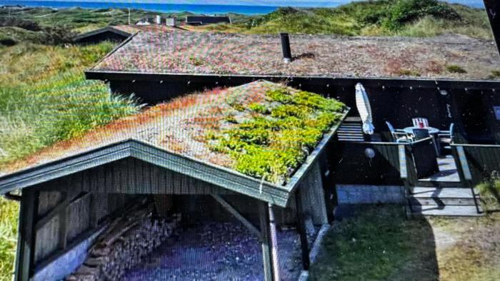 Veludstyret sommerhus i unik natur 350 m fra lækker badestrand - helårsbolig