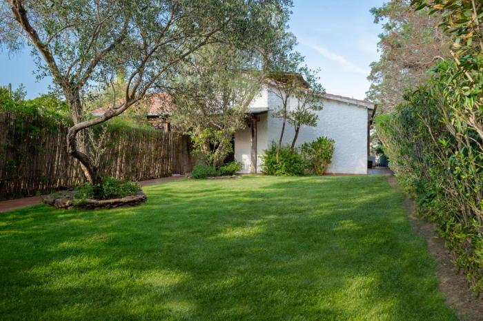 Ca cele viola - Klodge