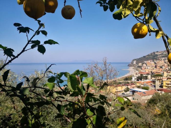 Casa Spisidda Appartamento bilocale "Salina" con vista sulle Eolie