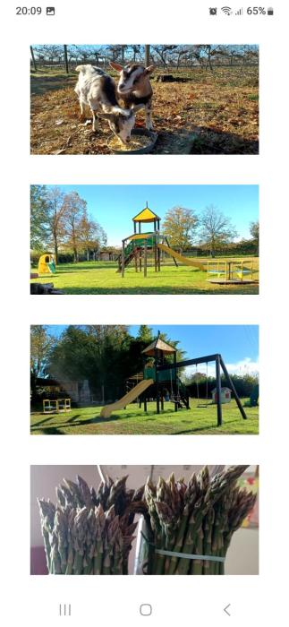 Alloggio agrituristico Zambon