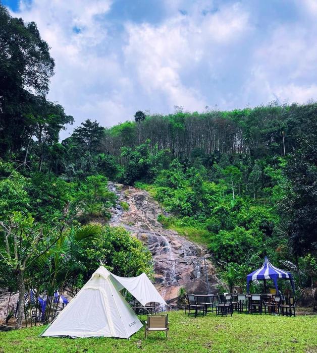 ท่าเเพ ฟอเรสต์ รีสอร์ต