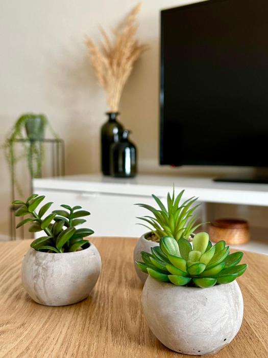 L aparts Thessaloniki