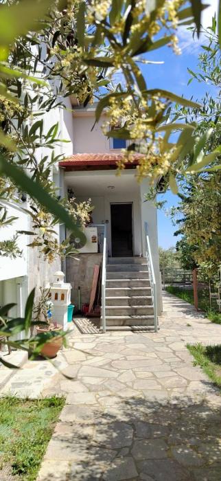 House of Artemis F in Asptovalta
