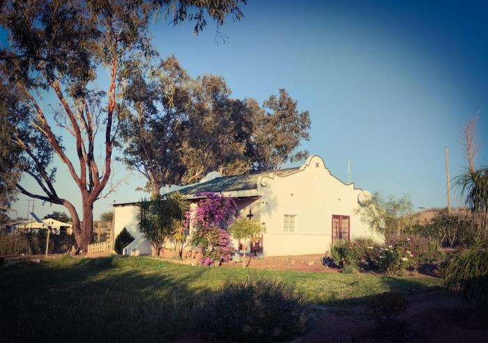 Romantic Vintage Cottage, Views across vineyards.