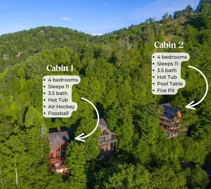 2 Cabins ~ Sleeps 22 ~ 100 Feet Apart ~ Ski in out