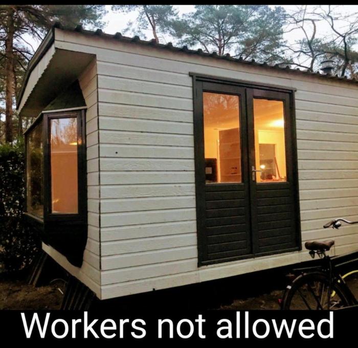 Wulft 47 Zonnig gezellig 6p chalet met zwembad in bosrijke omgeving op Familie Camping de Vossenburcht