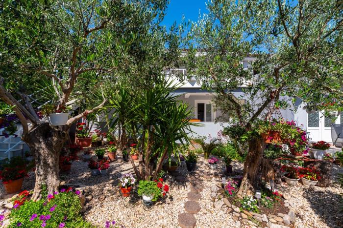 Apartments Say close to Center and Beach