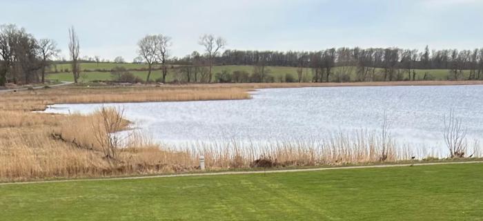 Første række til fjorden