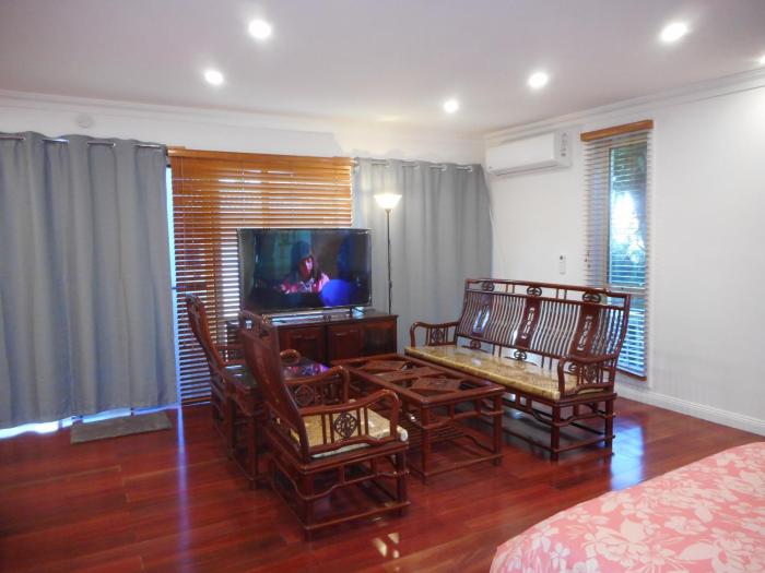 Elegant Holiday Studio