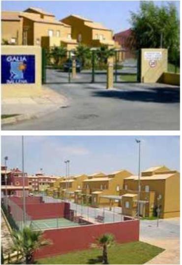 Galia Ballena (Rota) - Carlos