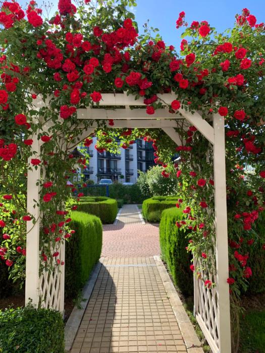 Sveti Vlas-Royal Bay 2-Avalonia