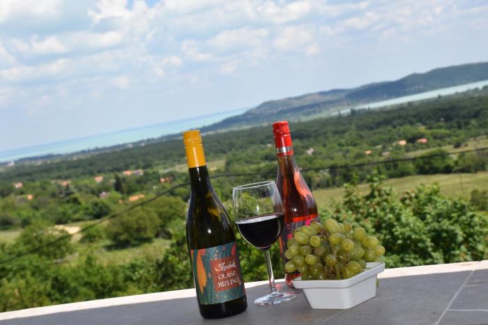 Kisleshegy Balatonudvari Vendégház