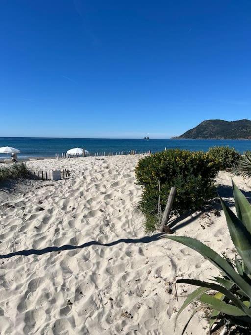 Studio Le Calypso les pieds dans leau 10 m mer