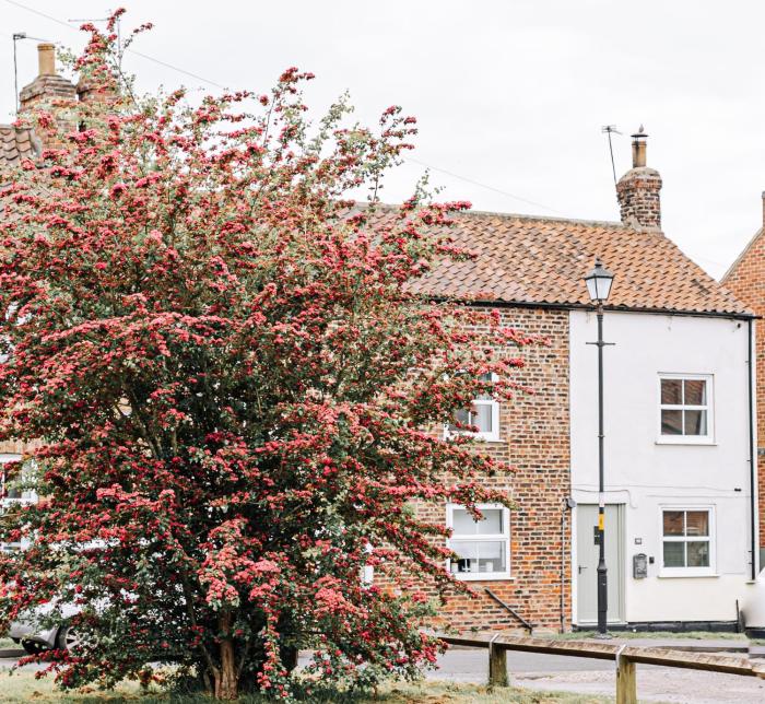 NEW Thirsk Stays - Herriots Hideaway