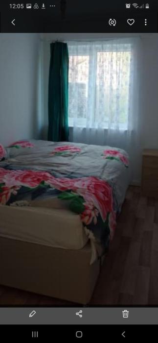 veggie single room in 2 bed flat, close to NEC