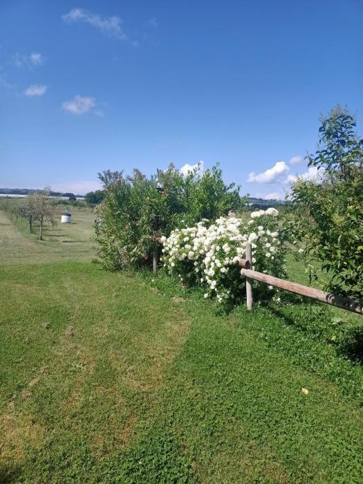 Agriturismo Il Cipresso