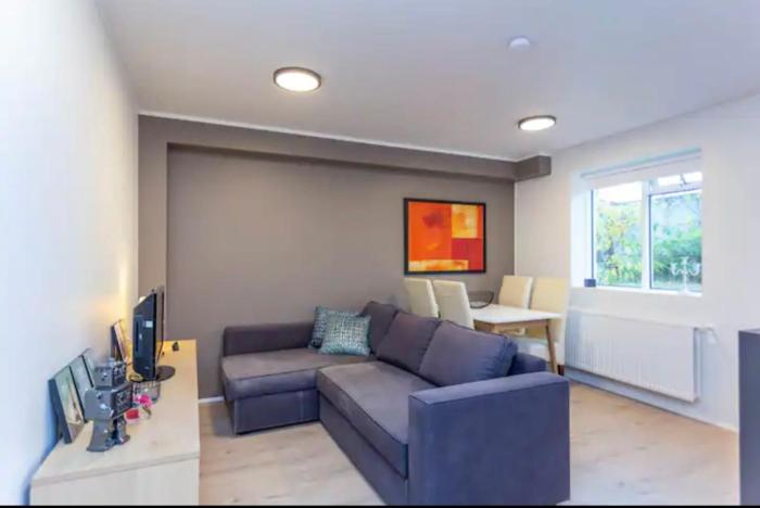 Downtown Reykjavík, renovated apartment