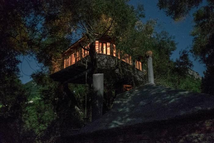 Margaritiss Treehouse