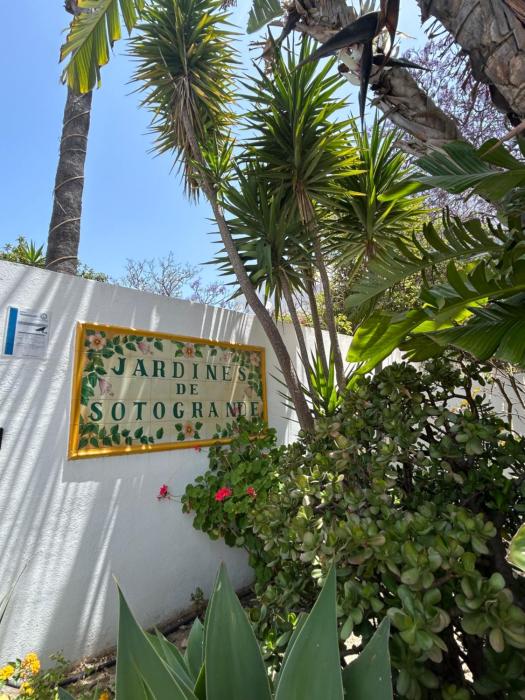 Sotogrande apartamento duplex