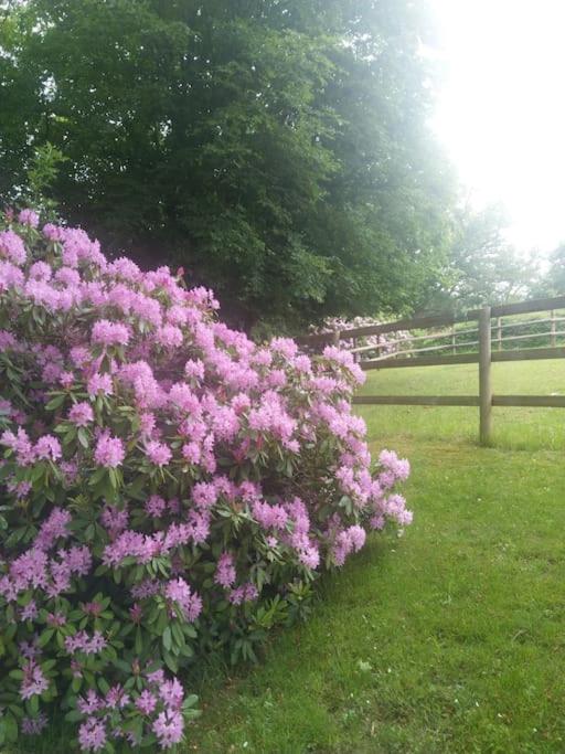 Etzauer Mühle im Taunus, Mensch-Zeit-Pferd