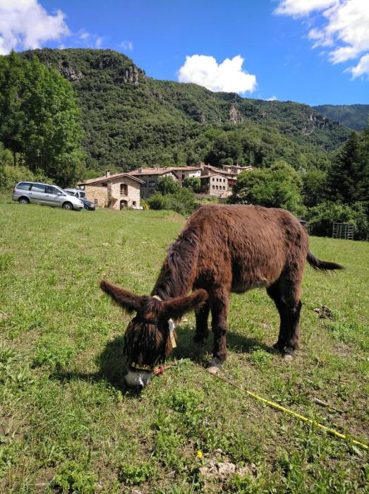 Mas La Cabanya Beget Xalet de muntanya