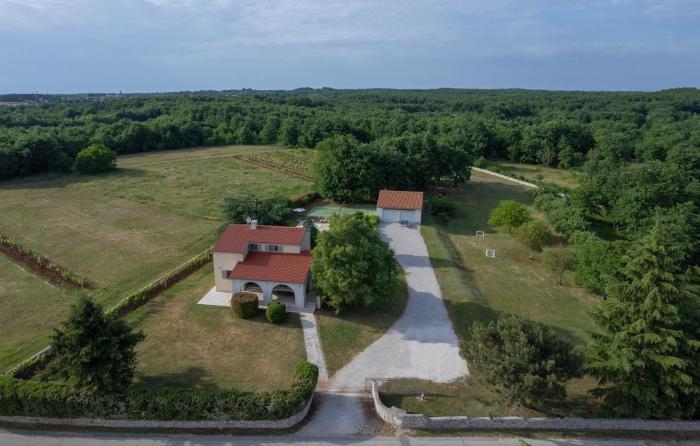 Luxury Villa Branko Istria