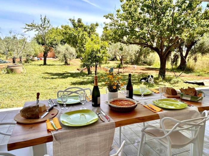 Casa RiVa - Among olive trees and the Tuscan coast