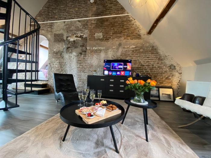 Luxurious and spacious apartment in historic building