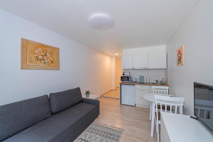 Partizanų studio apartment #3 by Polo Apartments