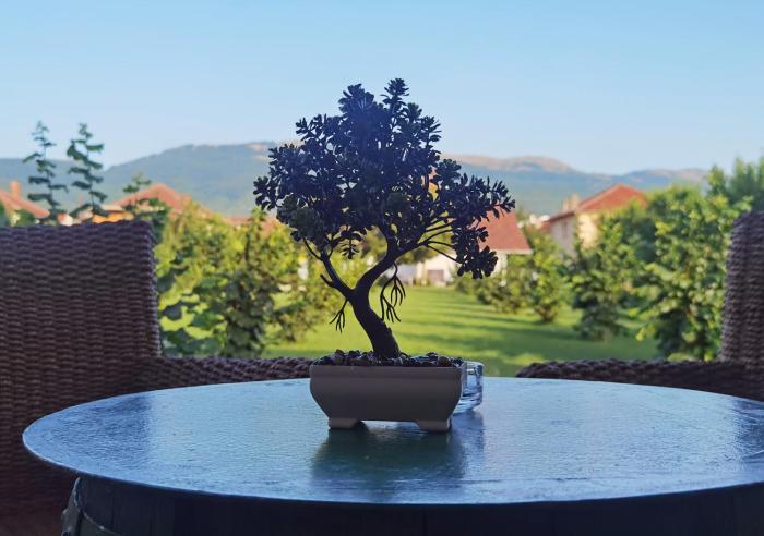 Celes Garden