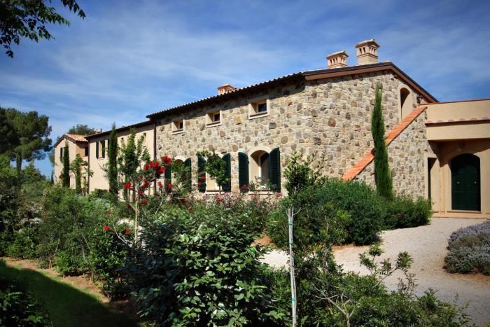 Ulivo nel Borgo Santa Chiara