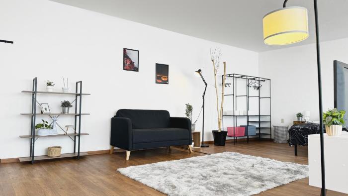 Estudio Centrico KING SIZE Wifi