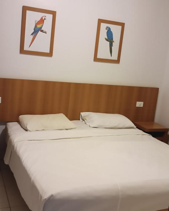 Golden dolphin caldas novas