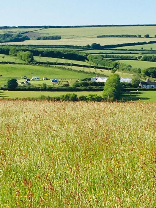 Headgate Farm Camp Site - Pitches Only - Bring your own tent or van