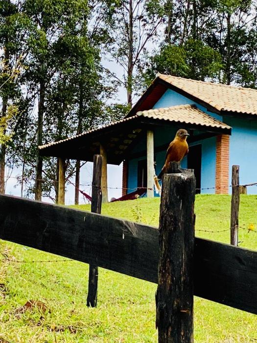 Chalé Gigante Adormecido