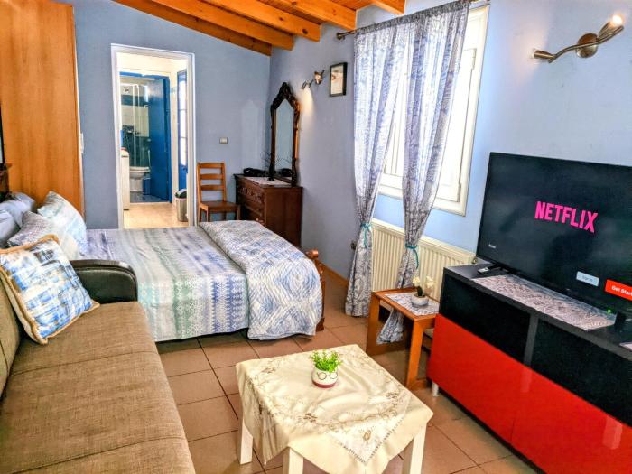 House with garden in city of Rhodes