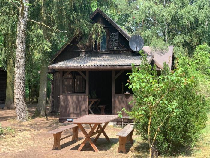 Dom z linią brzegową Narwi 2