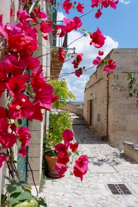 La casa di Sofia_Apartment