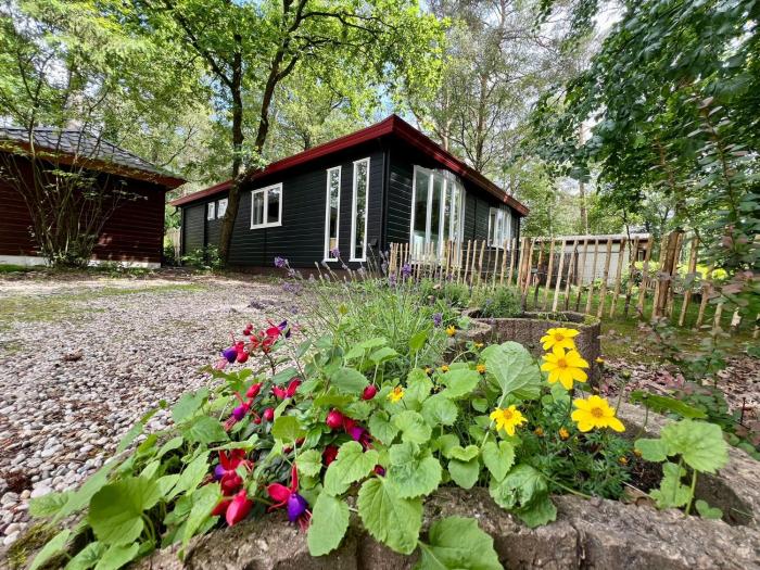 Kindvriendelijk sfeervol vakantiehuis Bosgeneugte bij zwembad op de Veluwe