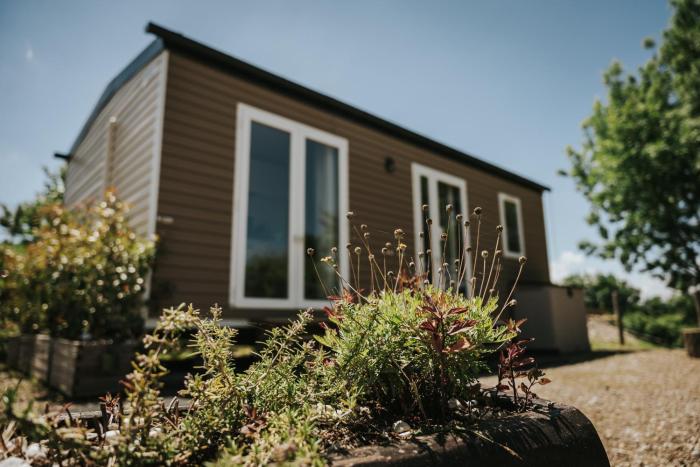 Agricampeggio Cà di Mazza