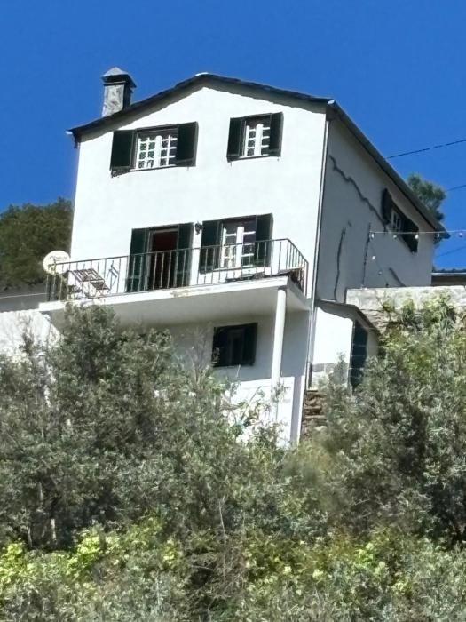 White House