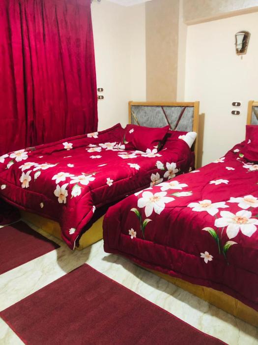 ستوديو فى سنتر المدينة