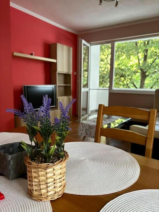 Vlado and Tedi apartment