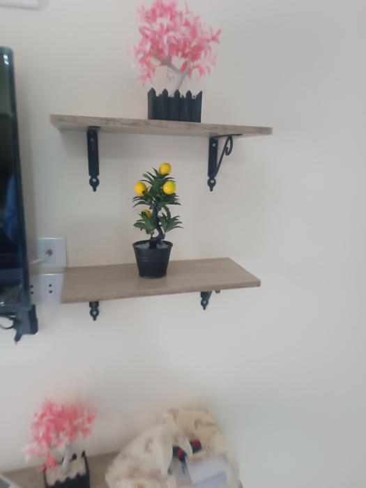 Princess resort flat no217