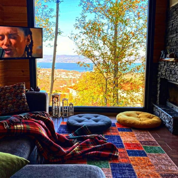 Ağaoğlu Dağ evleri 2