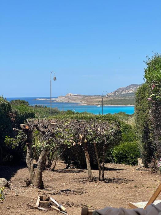 Stintino vista mare lancora