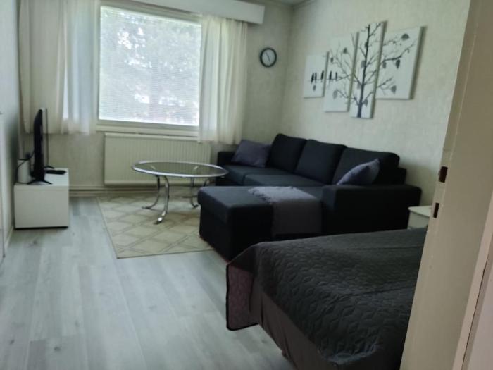 Yksiö omalla puusaunalla